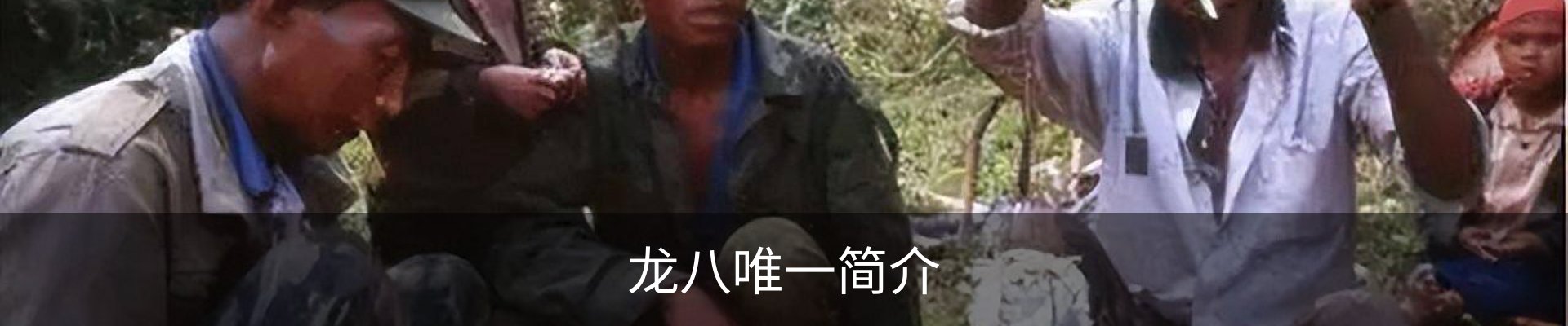 龙八唯一简介